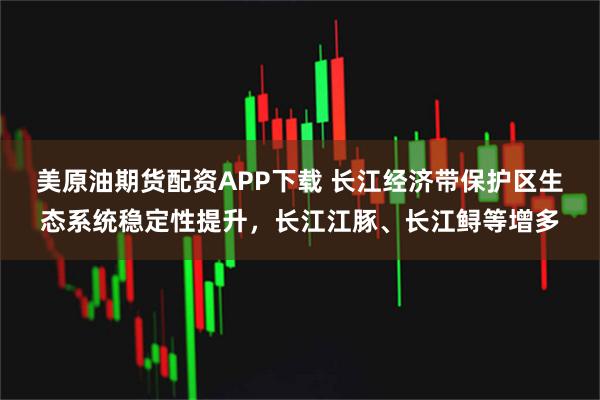 美原油期货配资APP下载 长江经济带保护区生态系统稳定性提升,长江江豚、长江鲟等增多